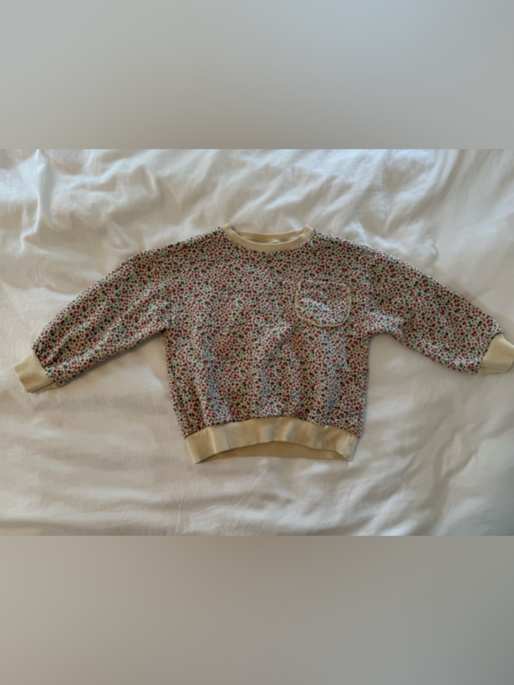 Zara Toddler Girl Floral Sweatshirt- Size 5T
